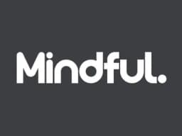 Mindful Team